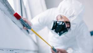 Best Pest Prevention Services  in Bradenton, FL